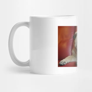 Baby Shar Pei Mug